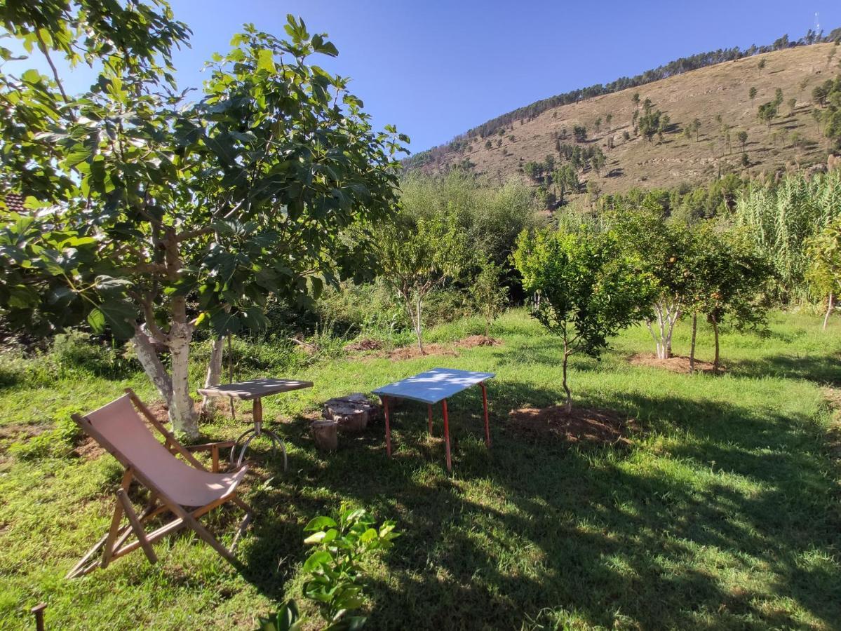 Olive B&B Berati Exterior foto