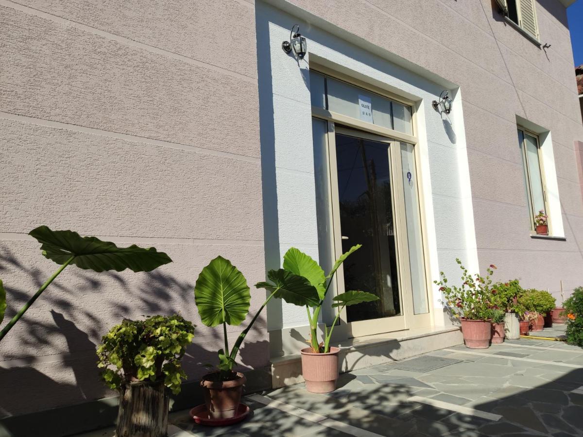 Olive B&B Berati Exterior foto